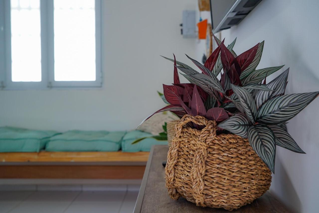 ルイース・コヘイア Casa Duplex Beira Mar Reformada Com Piscina No Peito Mocaヴィラ エクステリア 写真
